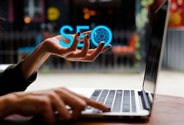 Susuz Web Site Tasarımcı